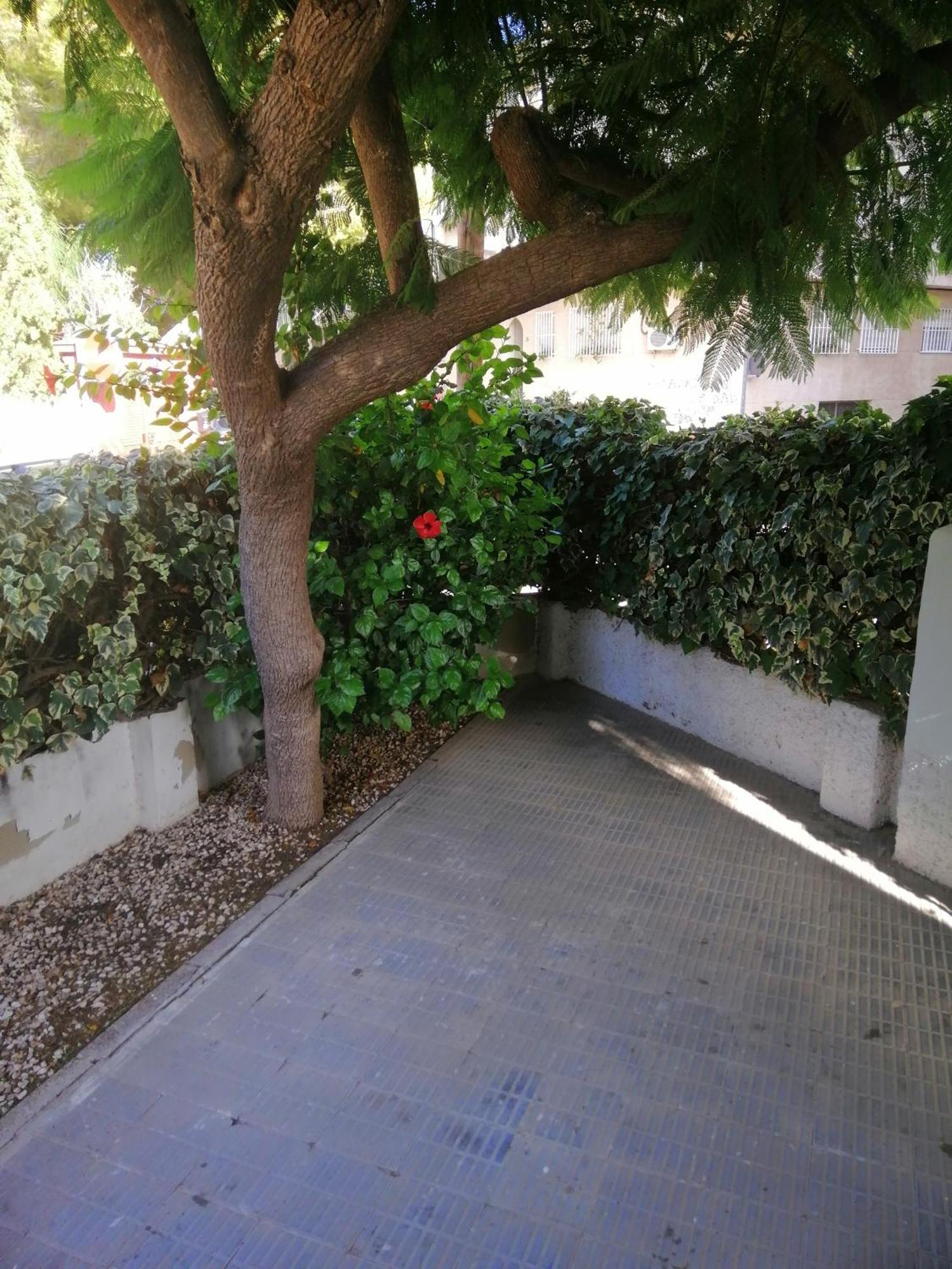 Chalet II Con Jardin Y Wifi En La Playa San Pedro del Pinatar Buitenkant foto